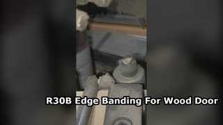 R30B edge banding hot melt adhesive application for the wood door